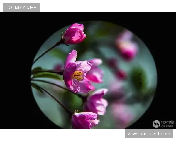 华体会体育官网注册指南全面解析新手快速注册账号的实用技巧