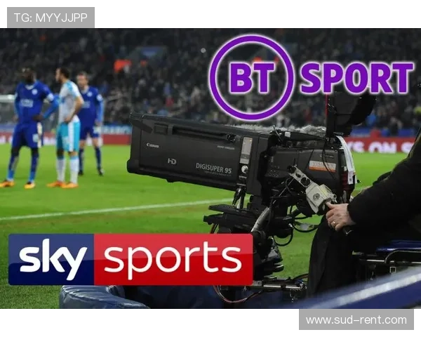 最新华体会体育登录网址官方入口确保用户安全快速登录体验